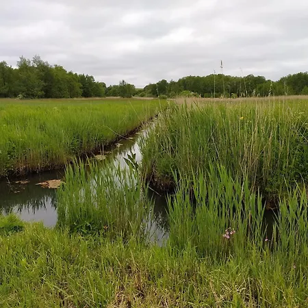 Ebsen Hh 2 Штайнберг