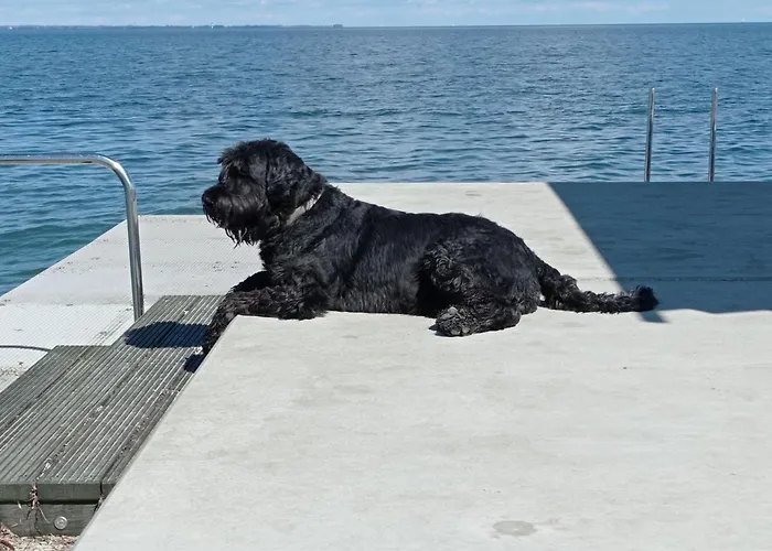 Ebsen Hh 2 * Steinberg (Schleswig-Holstein)